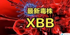 xbb毒株感染抗原能测出来吗(xbb毒株会传染给别人吗)