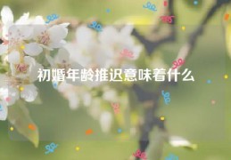 初婚年龄推迟意味着什么